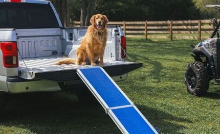 EZ Access Wall Prep Four Runner™ Portable Pet Ramp