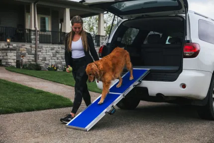 EZ Access Wall Prep Four Runner™ Portable Pet Ramp