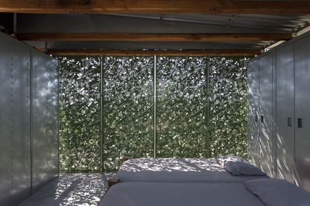 The Olive Tree House
