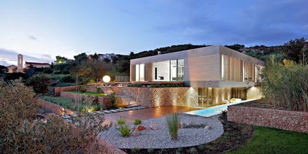 Olive House