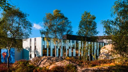 Norwegian School Of Economics