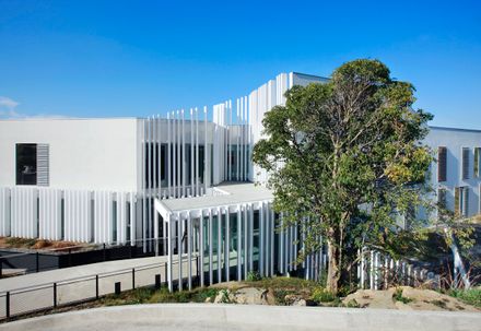 Residence And Day Center For People With Intellectual Dishabilities And Troubles Of Behavior