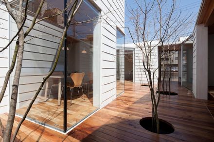 Sky Catcher House