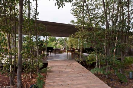 The Seed House