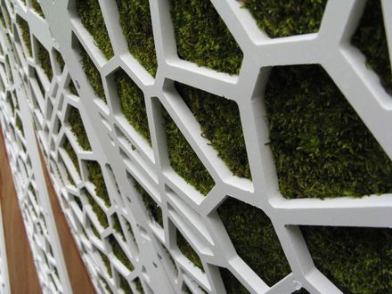 Surface Deep Garden