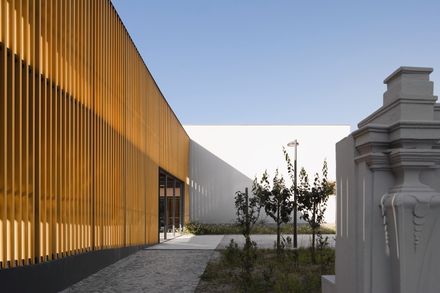 Vergilio Ferreira High School