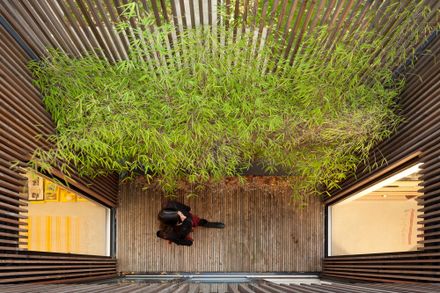 Wooden Frame House