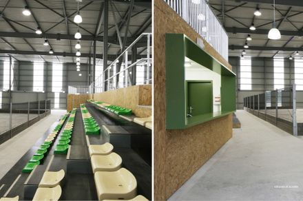 Bowling Pitch