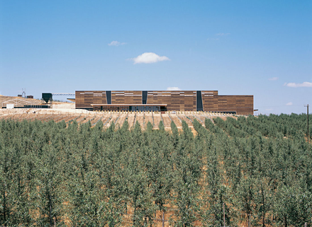 Olisur: Olive Oil factory