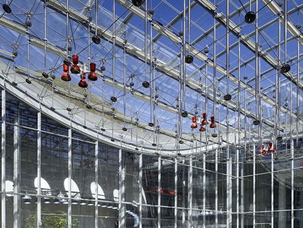 California Academy of Sciences