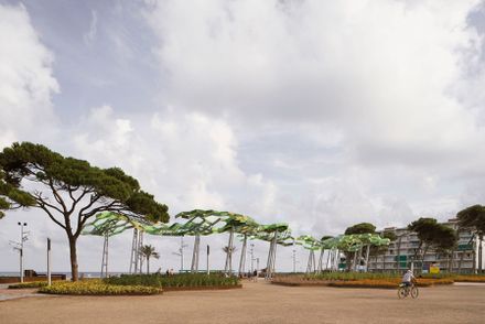 “Pinar de Perruquet” Park
