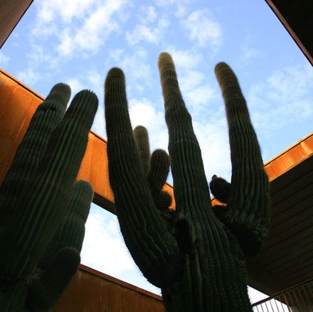 McDowell Mountain Ranch Park & Aquatic Center