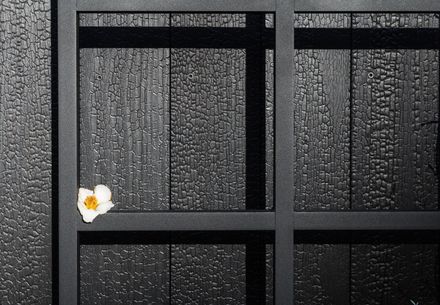 Resawn Timber Matsu: Accoya Shou Sugi Ban Wall Cladding