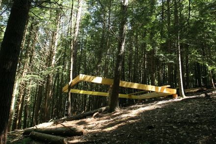Half-Tree House