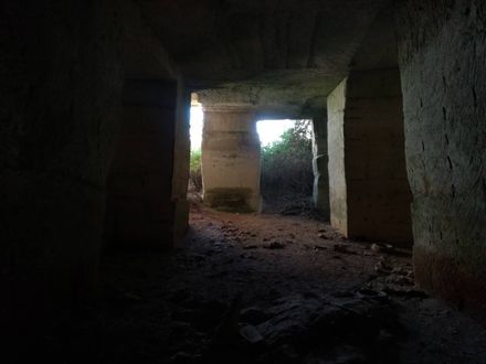 Ca’n Terra House