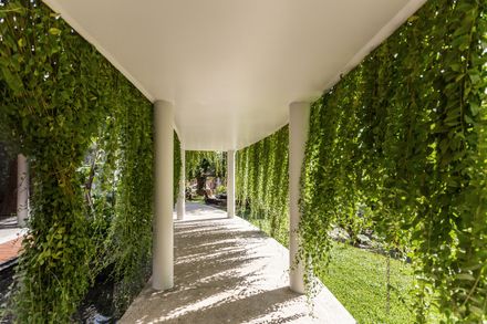 The Breeze House