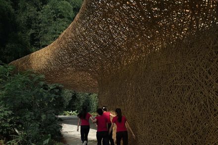 Bamboo Bamboo, Canopy and Pavilion