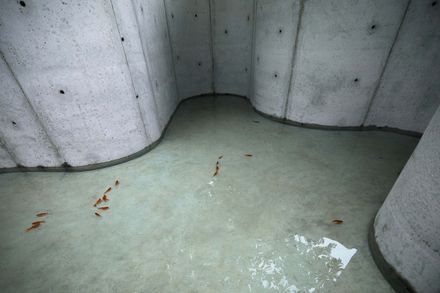 Void Garden
