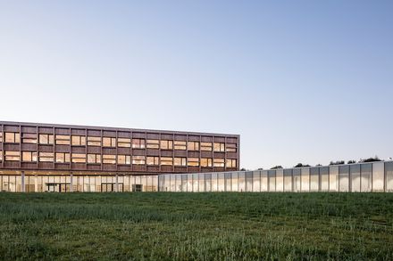 Collège Simone Veil