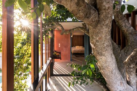 Life on the Tree House