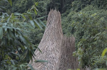 Nonggang Forest Park Visitor Center
