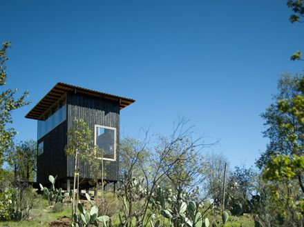 Charred Cabin