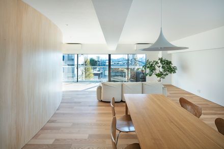Smooth Wall House