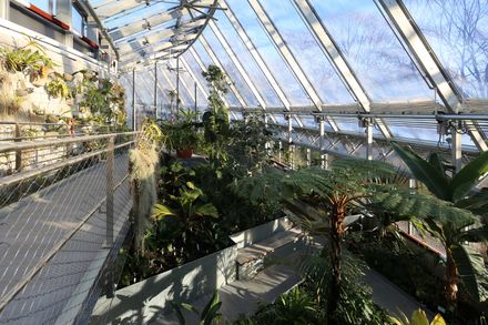 Wellesley College Global Flora