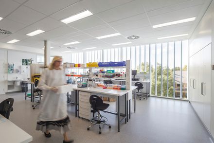 Westmead Millennium Institute