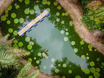 Floating Bridges in Manaus
