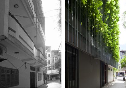 Green Renovation