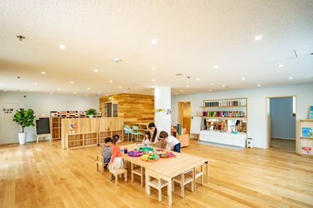 IBG School