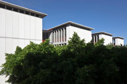 Primaria Nuevo Continente