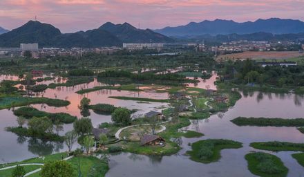 Fuyang · Yangbei Lake Wetland Ecological Hotel