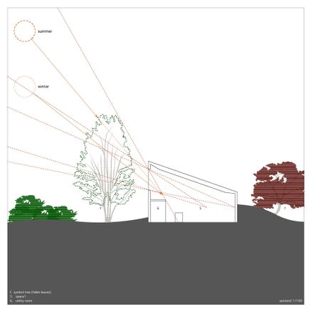 Forest In The Space