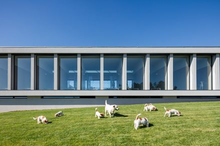 Canine and Feline Hotel