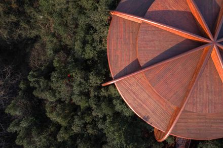 The Tree House In Qiyun Mountain