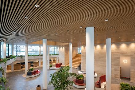 Hunter Douglas Architectural Veneered Wood Grill Ceilings & Walls