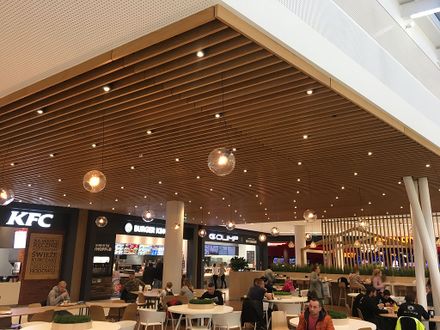 Hunter Douglas Architectural Veneered Wood Grill Ceilings & Walls