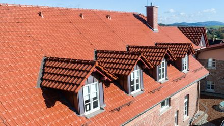 Randerstegl Rt 831 Laumans Rheinlandvariabel Roof Tiles
