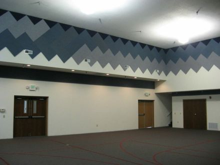 Acousticalsurfaces  Echo Eliminator Wall and Ceiling Panel