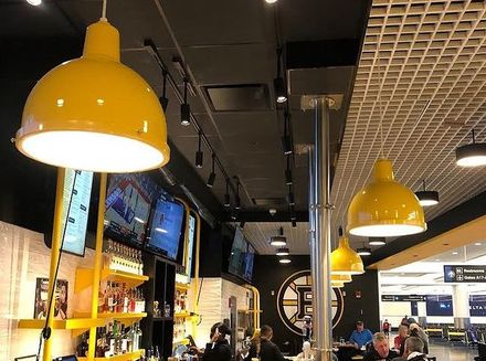 Spectrum Lighting SD1208INC POMME Pendant Lamp