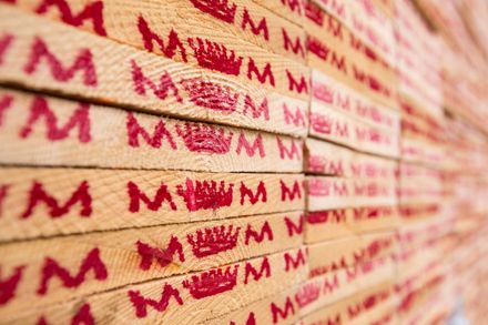 Mm-holz Sawn Timber Beams