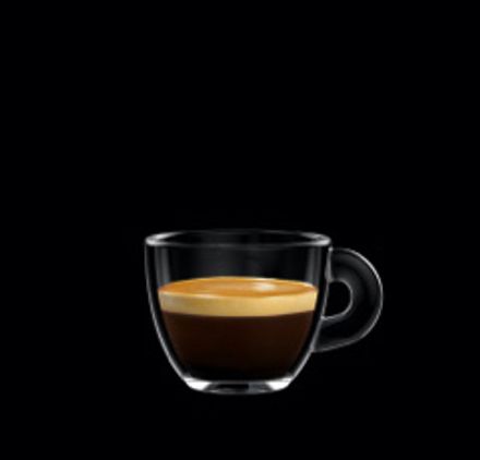 Gaggia Classic E24 Energy Vibes Coffee Machine