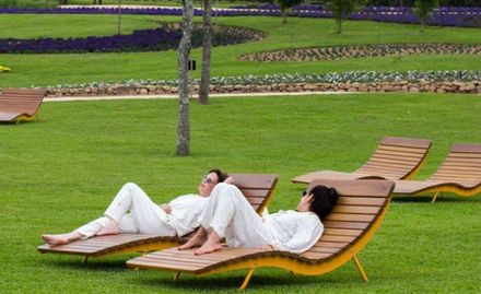 Baileys Treetscene Bojon Lounger