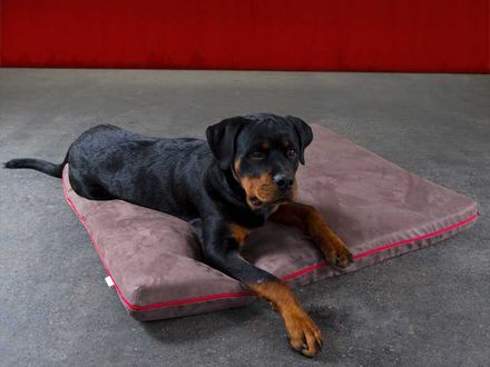 Pet-interiors Orthopedic Dog Mattress Mary