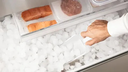 Thermador Freedom® Built-in Freezer Column 24'' Panel Ready