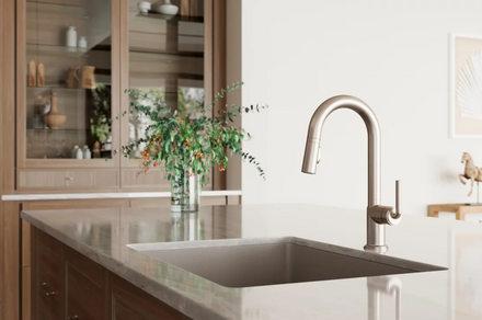 Pfister Faucets Tenet Kitchen Faucet Kitchen Taps