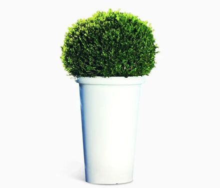 Serralunga Camelia High Planter