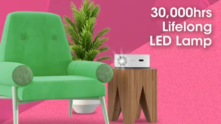 Zebronics Zeb PixaPlay 17  Projectors